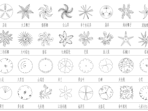  棕榈灌木CAD图库 