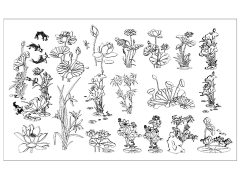  荷花睡莲cad图库 