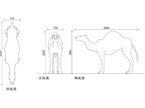  沙漠动物骆驼平面图 骆驼结构图 骆驼设计图 骆驼布局图 骆驼cad大样图 