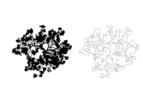  树顶视图cad图库 
