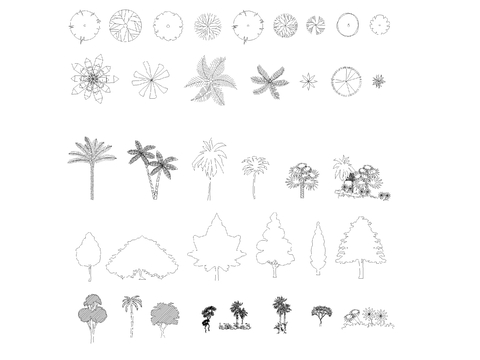  树木平面图，立面图热带树cad图库 