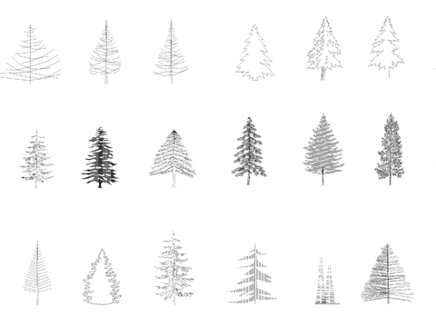  针叶树松树cad图库 