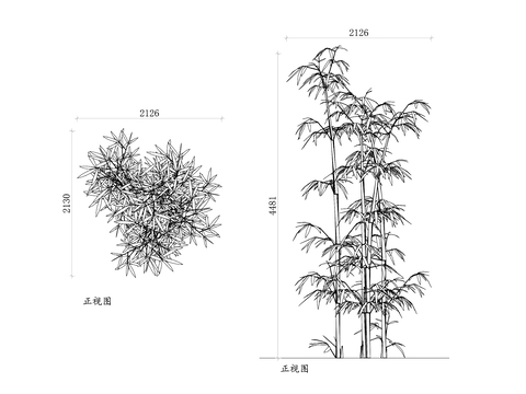  竹子植物 竹植物CAD图块 
