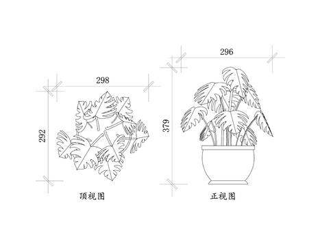  龟背竹盆景cad图库 