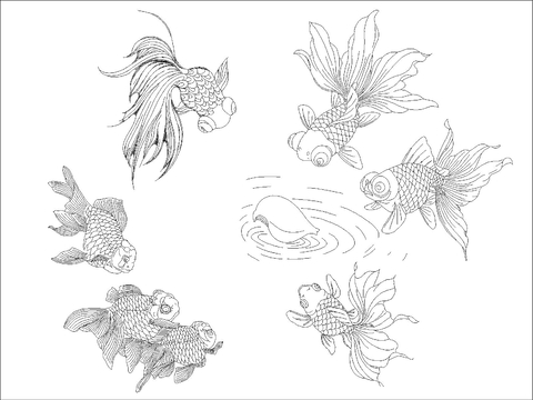  现代金鱼鲤鱼CAD图块 