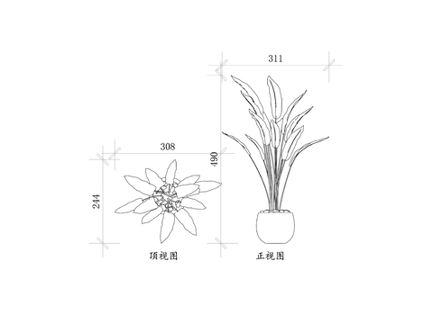  赫蕉属植物 赫蕉 芭蕉科植物CAD图块 
