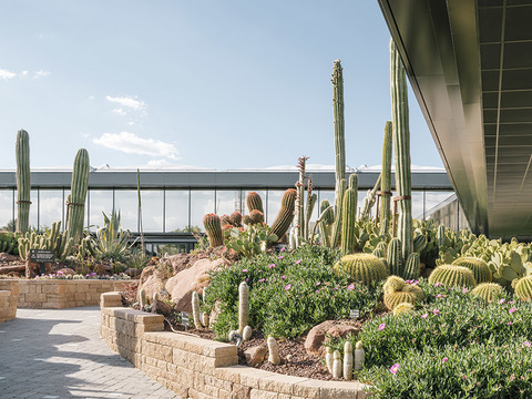  现代展览展厅效果图 