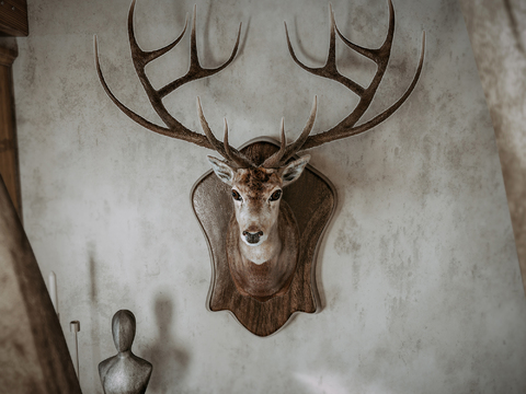  美式酒店民宿效果图 