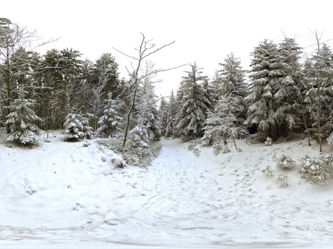  大雪树木外景_雪地_蓝天贴图 