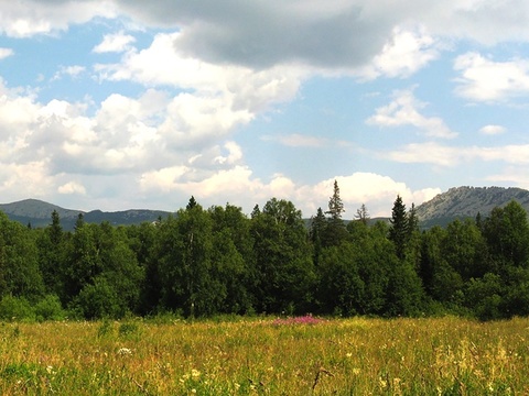  ​​草地前景 森林中景 山脉远景 白云蓝天 森林外景hdr 