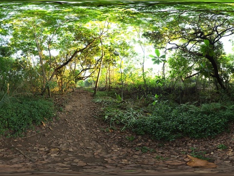  4K常用自然外景 