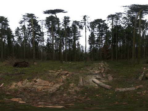  户外树林风景白天hdr 