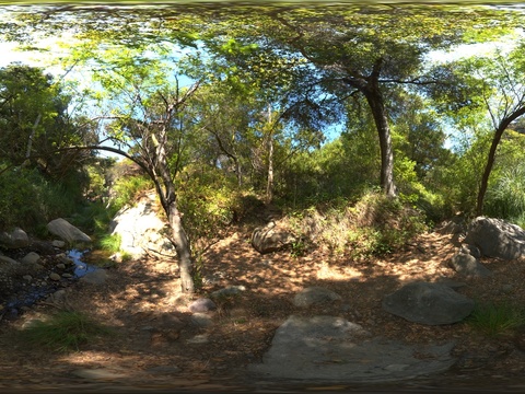  户外公园树木天空全景 