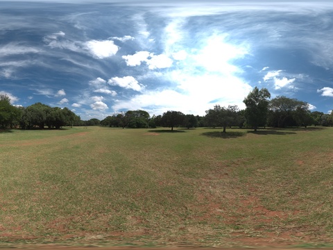  户外天空树木草地自然风景 
