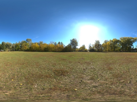  户外天空树木草地自然风景 