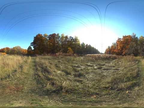  户外天空树木自然风景 