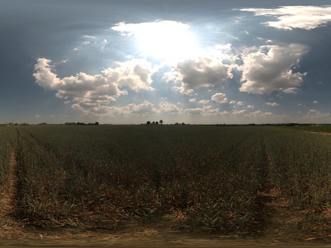 户外蓝色天空草原草坪全景