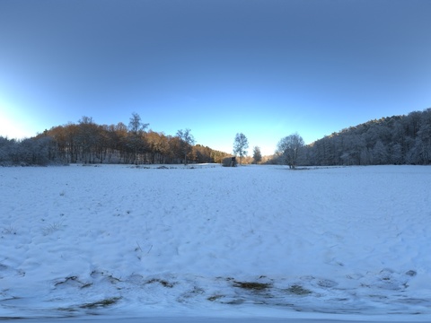 户外冬季雪地树木HDR