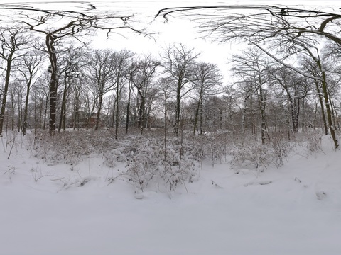 户外雪地树林阴天傍晚HDR