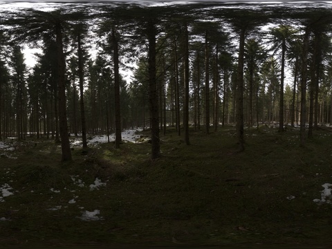 户外树林绿地阴天DHR