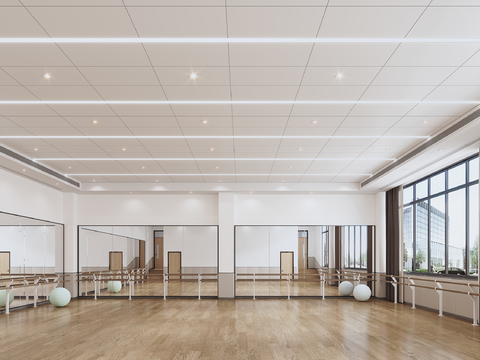  舞蹈室 瑜伽房3d模型 