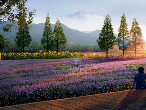  现代花海公园psd 