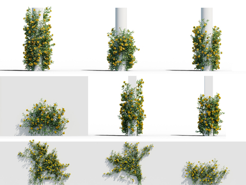  现代植物藤蔓3d模型 