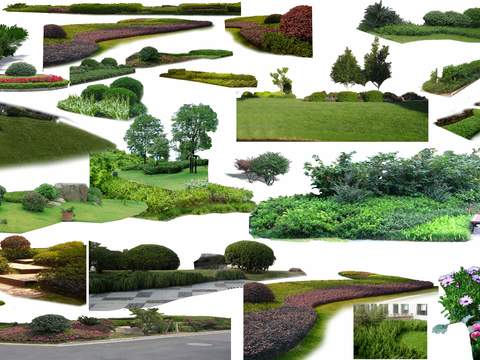  现代灌木丛花草psd 