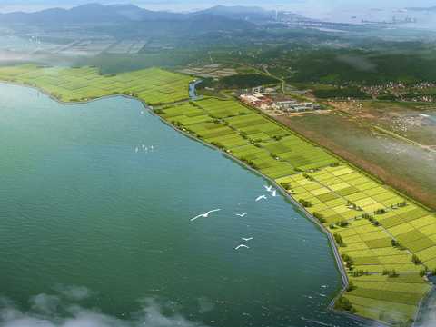  现代湿地园林鸟瞰psd 