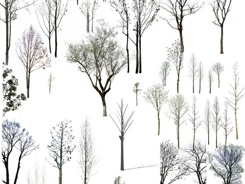  现代枯树景观树psd 