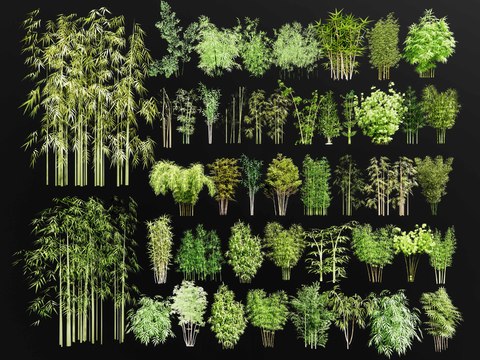  竹子 南天竹 罗汉竹 毛竹 翠竹 竹林 青竹3d模型 