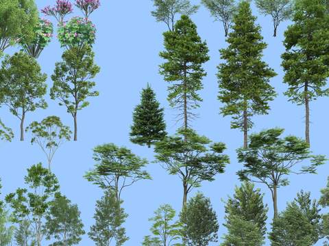  现代绿植树木psd 