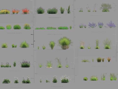  现代灌木丛植物堆psd 