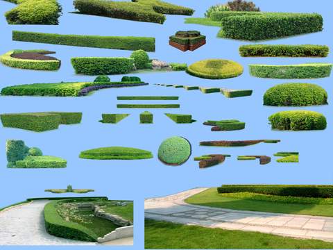  现代绿植花草灌木丛psd 