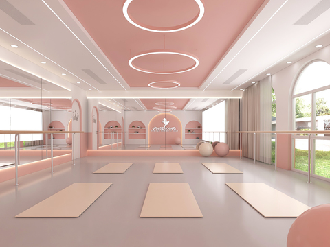  舞蹈教室 瑜伽教室3d模型 