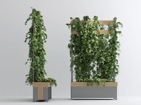  现代植物藤蔓3d模型 
