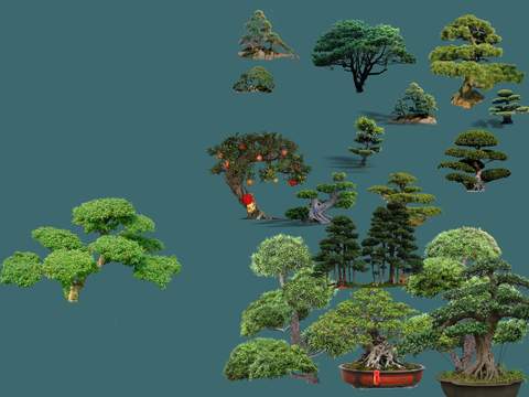  现代景观树花坛树psd 