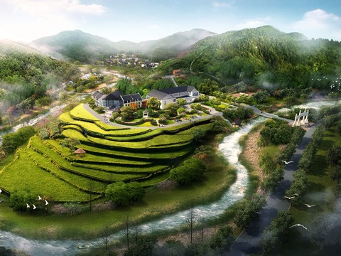  民宿梯田鸟瞰psd 