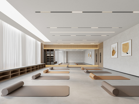  瑜伽室 健身房3d模型 