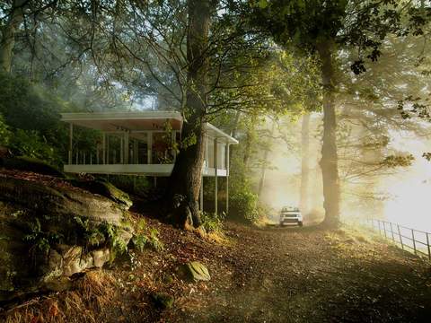  现代森林丛林景观psd 