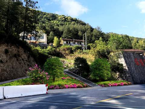  现代道路绿植造景psd 