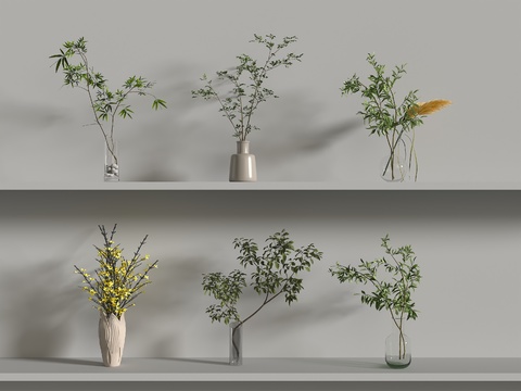  花瓶 水生植物3d模型 