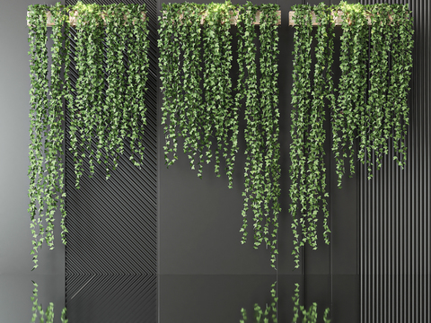  藤蔓 攀爬植物3d模型 
