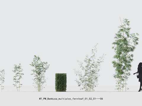  现代竹子绿植psd 