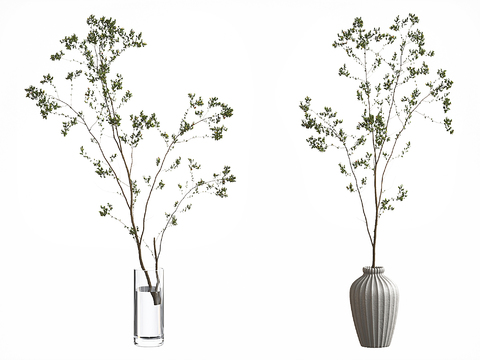  水生植物 水培绿植3d模型 