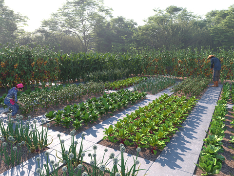  菜园 菜地3d模型 