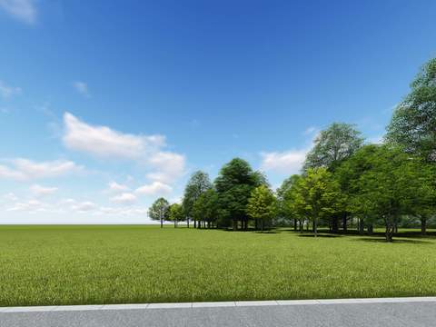  现代草坪大树树木景观树psd 