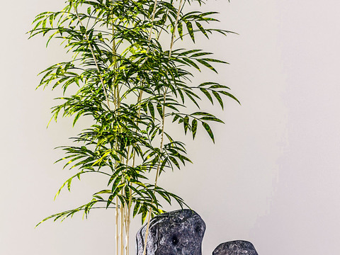  现代绿植假山3d模型 