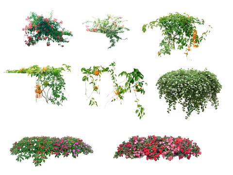  现代藤蔓花卉绿植灌木丛psd 