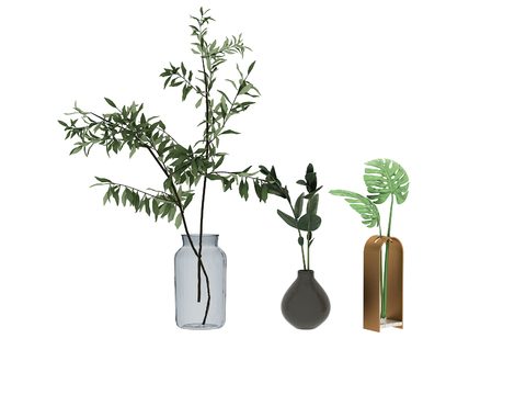  水生植物 水培绿植3d模型 